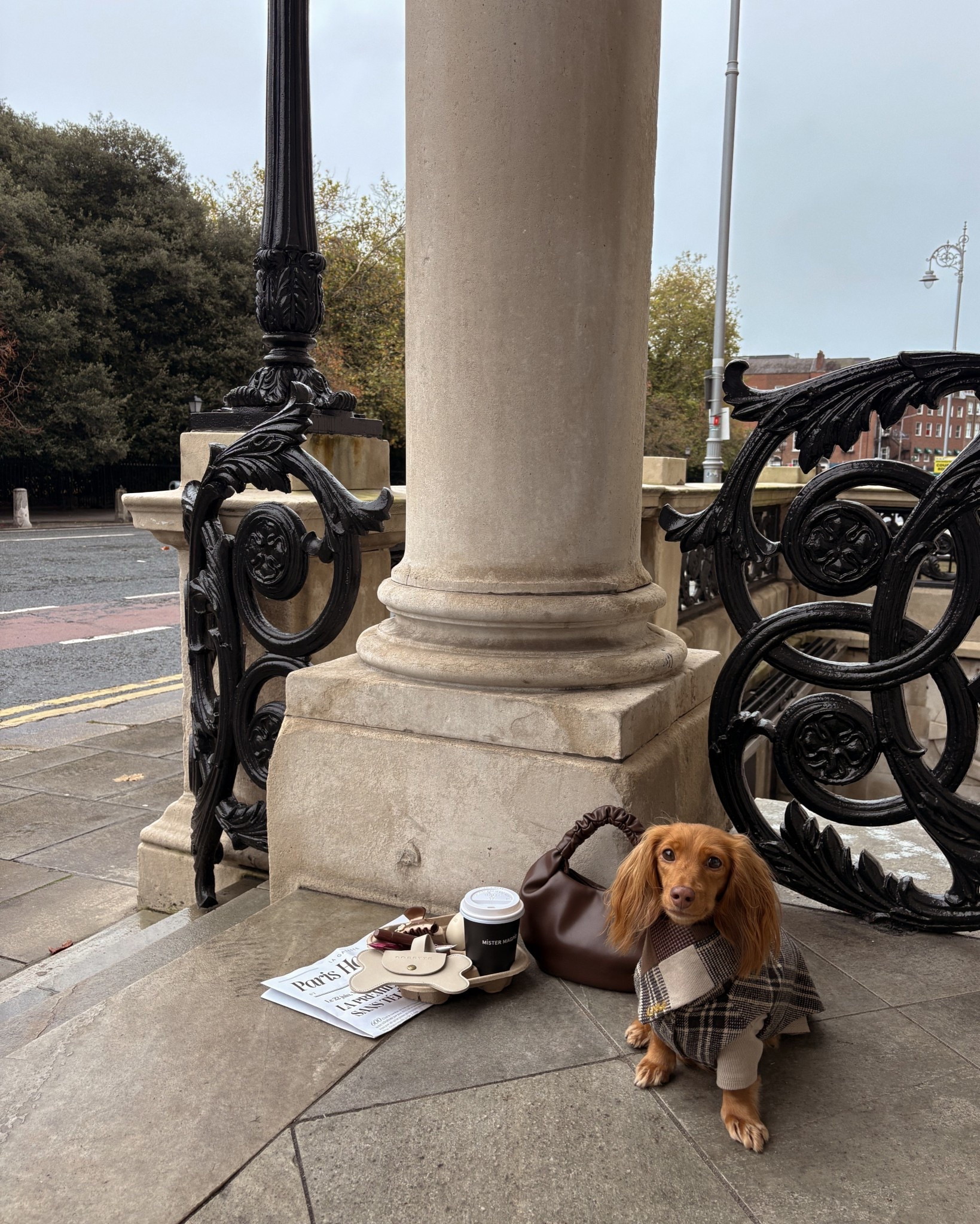 Plaid pet vives 🤎

#LTKSeasonal #LTKFindsUnder100 #LTKPets