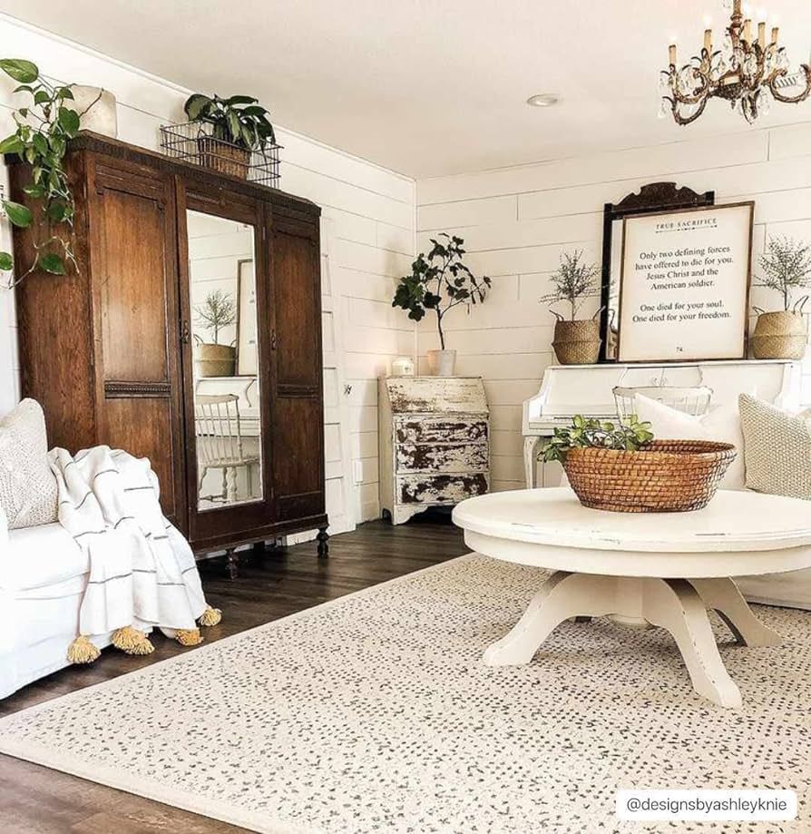 Sattley Modern Farmhouse Living Room Bedroom Dining Room Area Rug - Transitional Bohemian Carpet ... | Amazon (US)