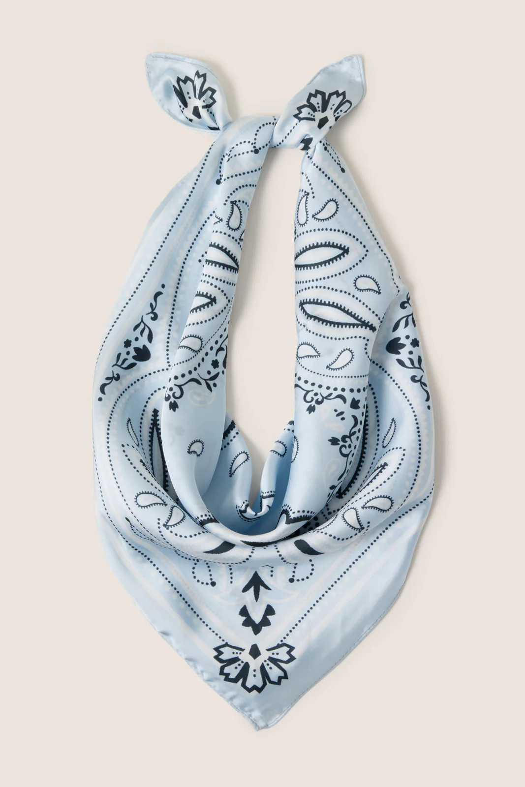 Ellie Paisley Bandana | Evereve