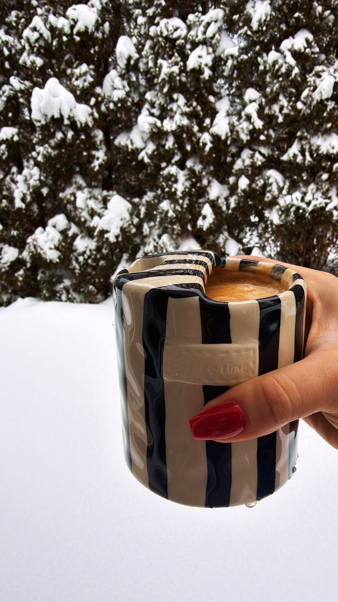 When the snow shuts everything down, this is how the day starts 🤍☕️ obsessed with this coffee mug—chic, cozy, and the perfect size to fit right under my espresso machine so I can brew directly into the cup. Finished it off with my homemade chocolate almond milk from my milk maker for the ultimate cozy snow-day coffee at home ❄️🤍

#LTKmorningroutine #LTKSeasonal #LTKHome