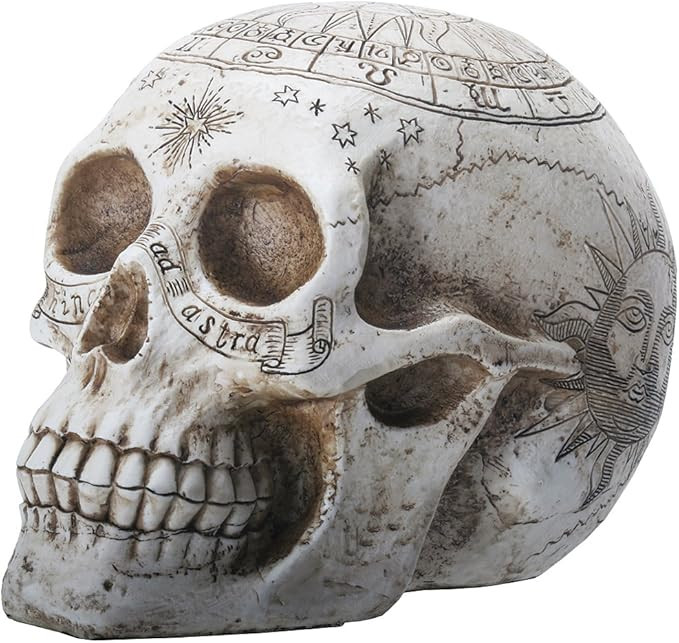 YTC 7.75 Inch Resin Skull with Astrology Engravings, White Colored | Amazon (US)
