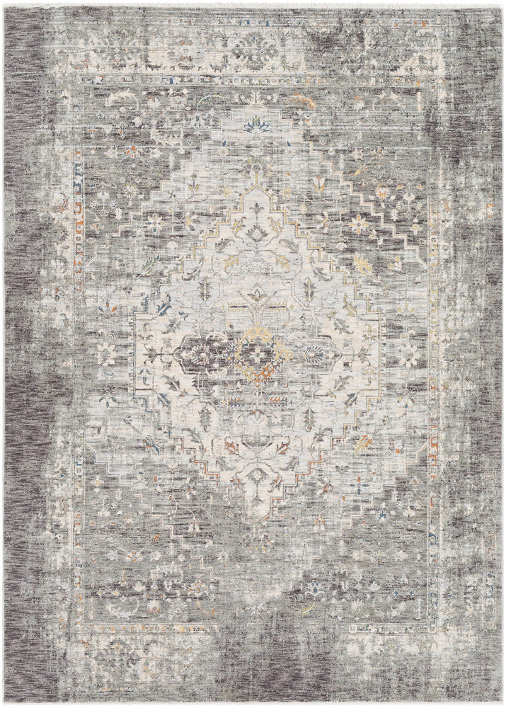 Surya Presidential PDT-2311 Area Rug | RugStudio.com