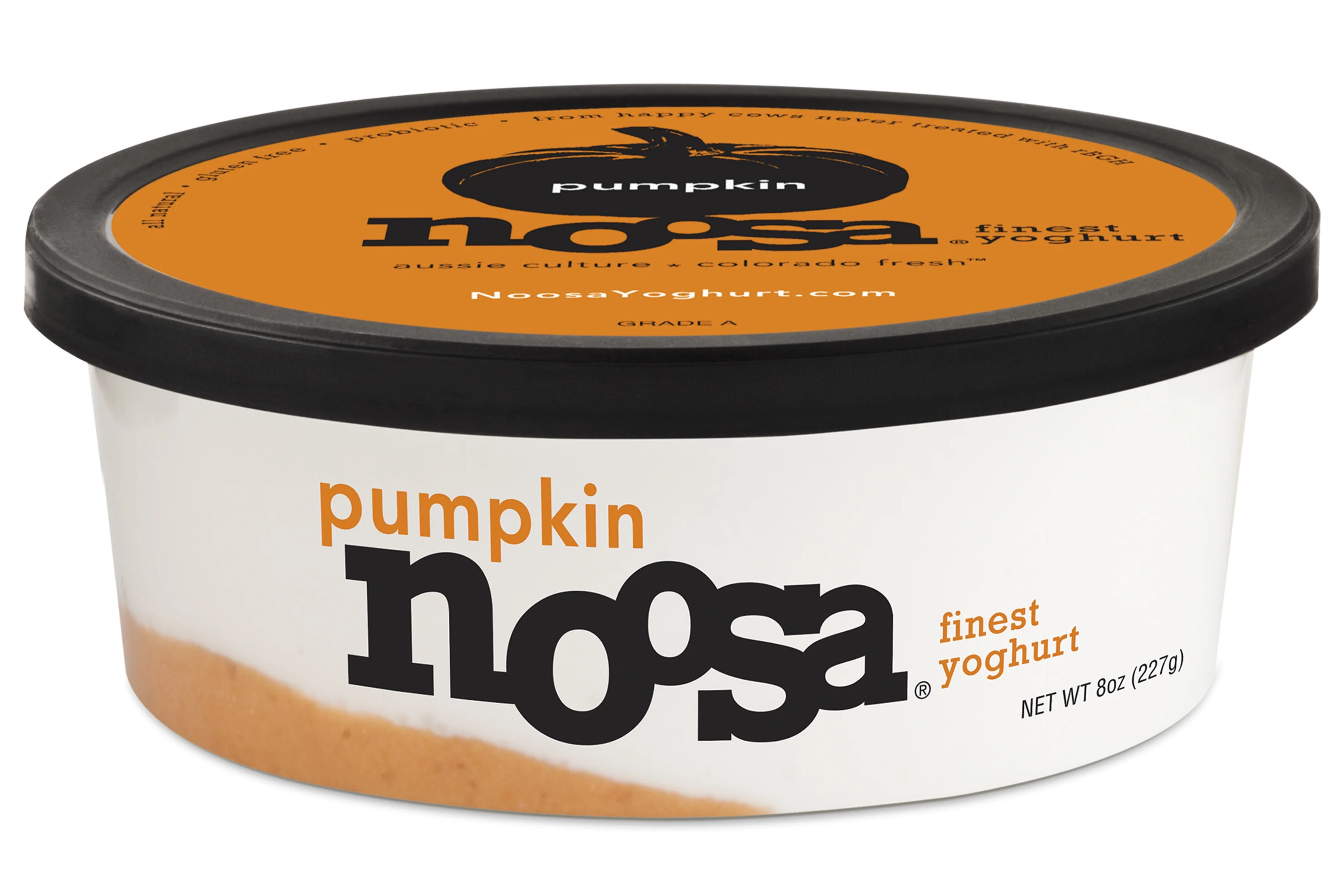 Noosa Yoghurt, Whole Milk Yogurt, Velvety Smooth & Creamy, Pumpkin, 8 oz Tub | Walmart (US)