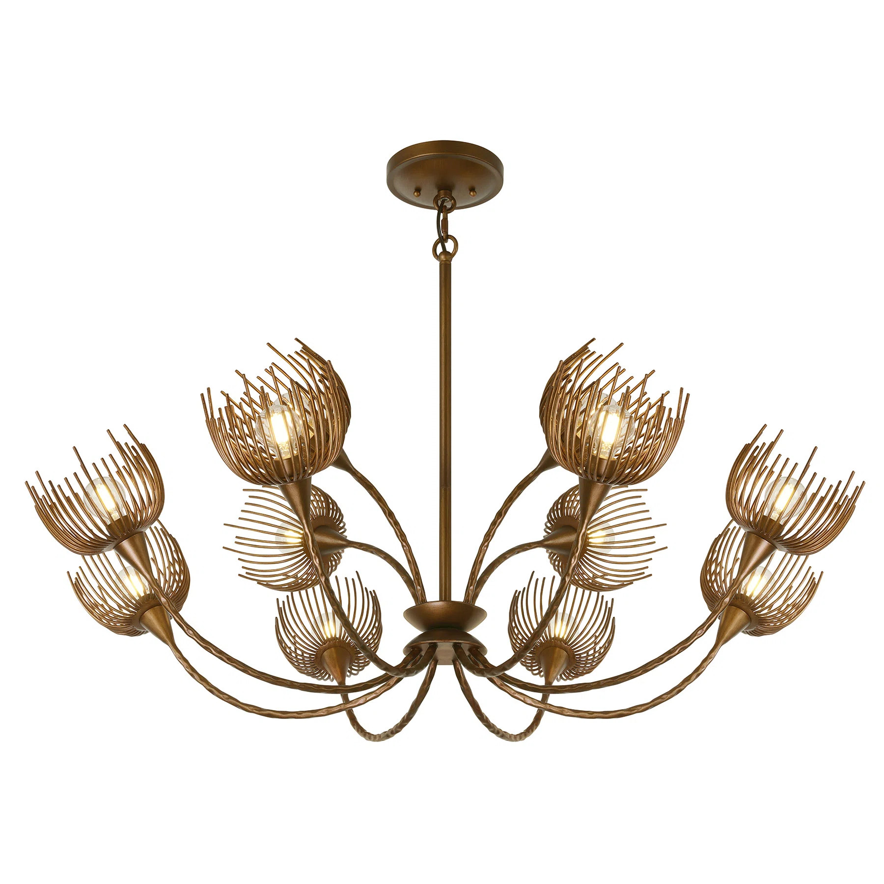 Breegan Jane by Breegan Jane x Savoy Protea 12-Light Chandelier in Manchester by Breegan Jane | W... | Wayfair North America