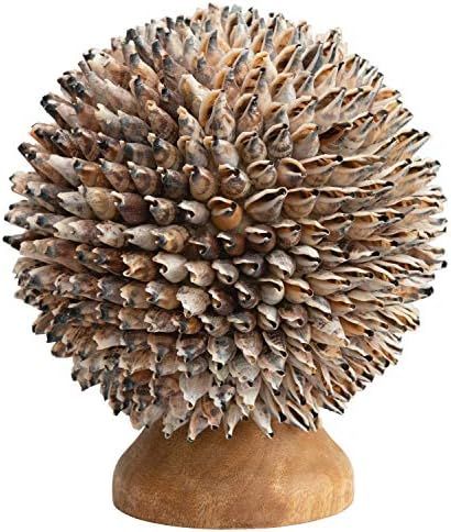 Creative Co-Op Shell Orb with Mango Wood Base Décor, Multi Color | Amazon (US)