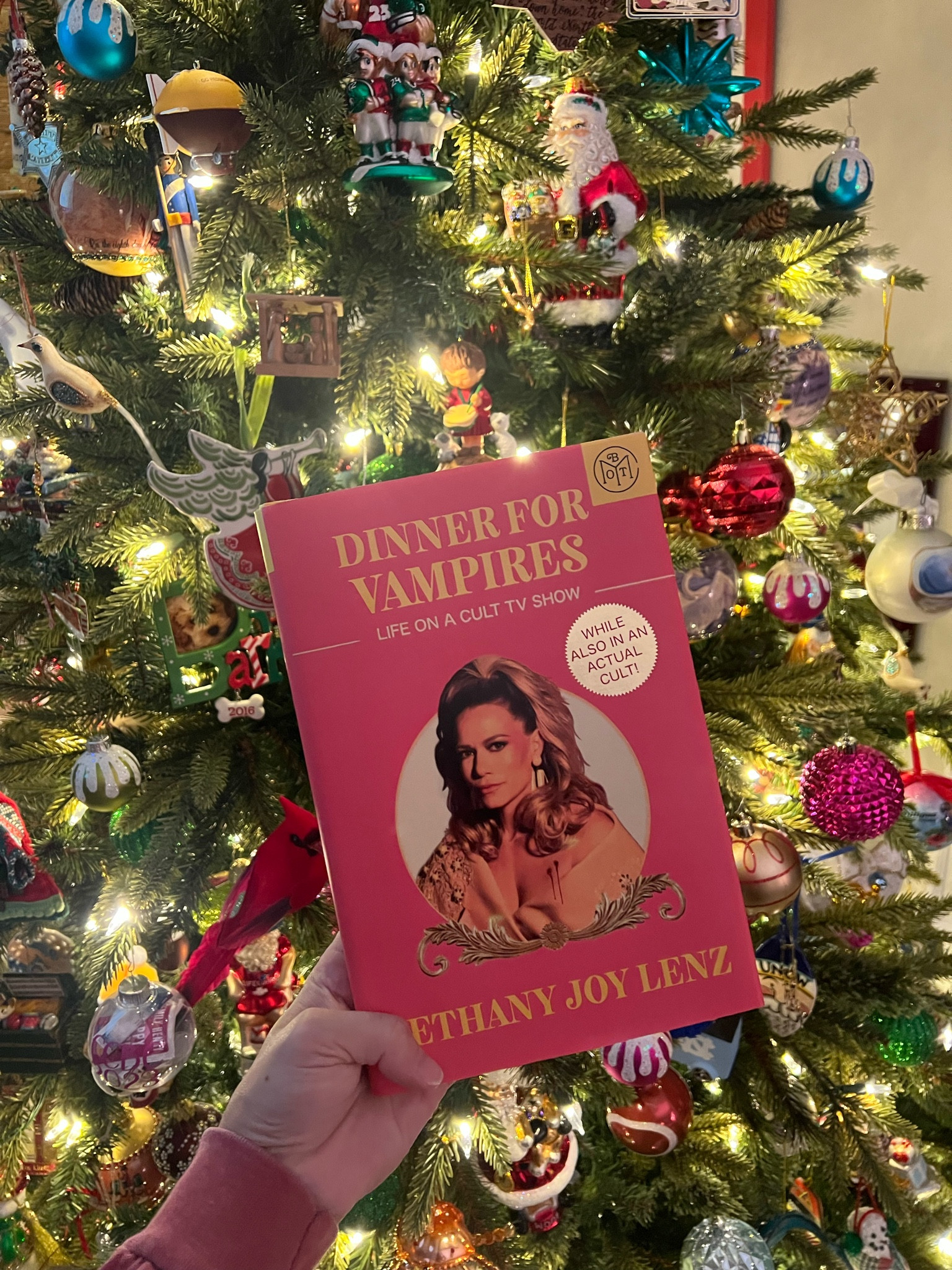 A non-fiction read from over the holidays! Loved this one! 

#LTKFamily #LTKGiftGuide #LTKFindsUnder50