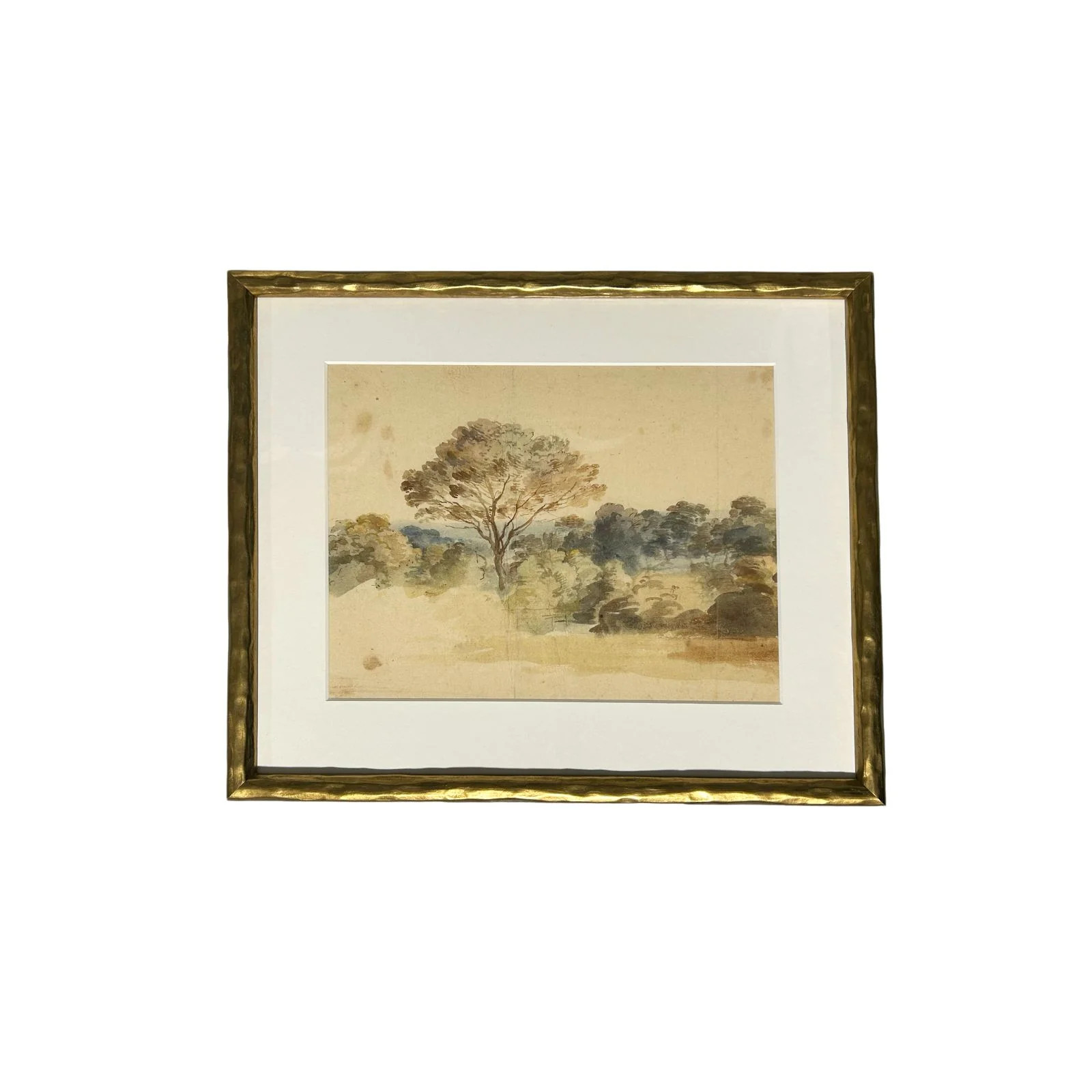 Forest Landscape | Brooke & Lou | Brooke and Lou