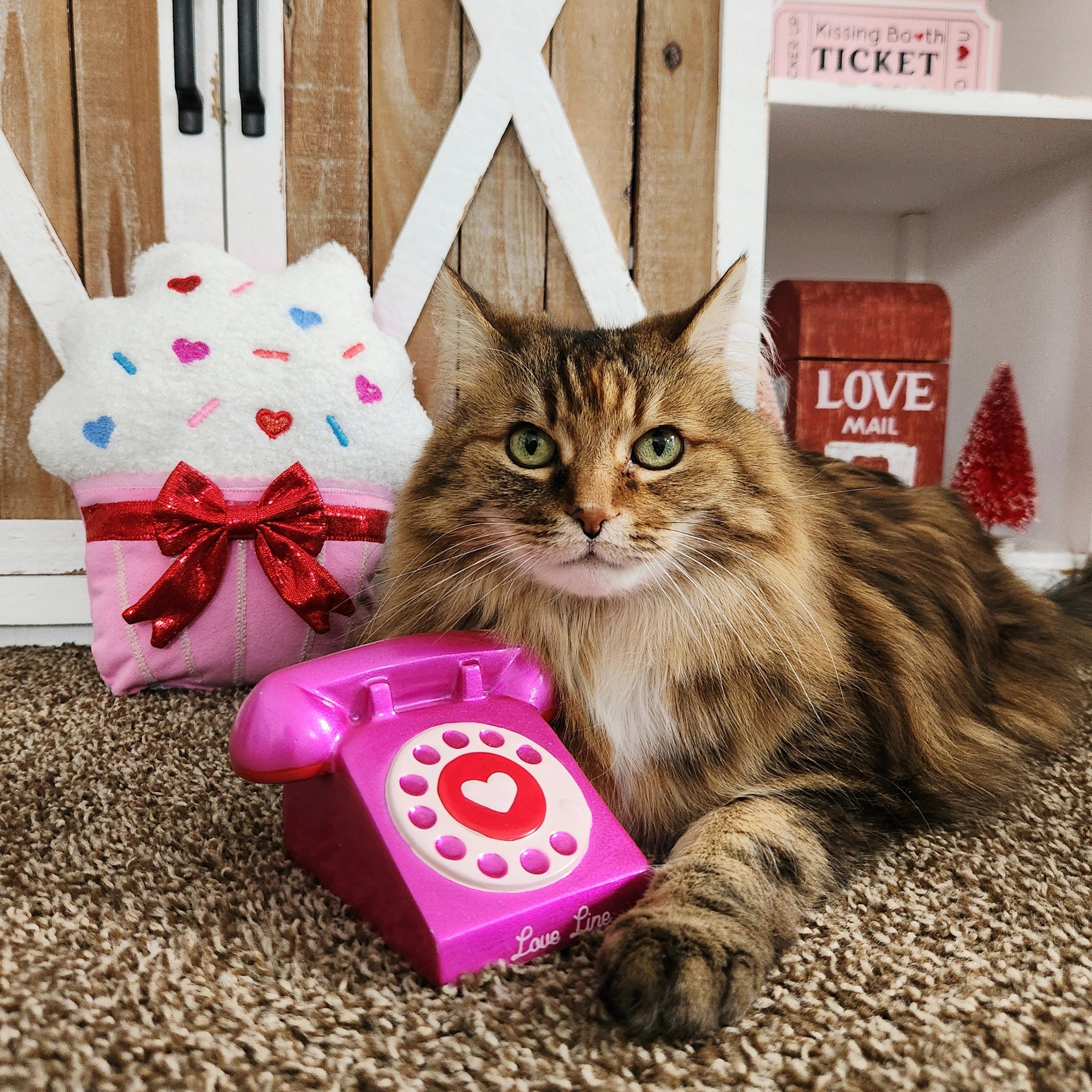 Target Valentine's Day Décor Finds🧁💗☎️Full Details At:CheyMuter.com~Or~🔼Link In Bio🔼#CheyMuter #TashaBebe #Target #ValentinesDecor #ValentinesDay

