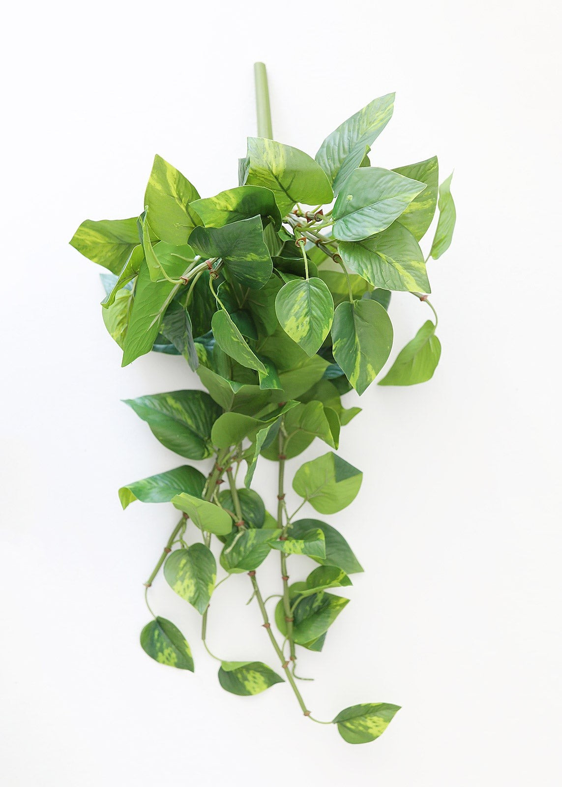 Real Touch Hanging Pothos Fake Plant - 22" | Afloral (US)