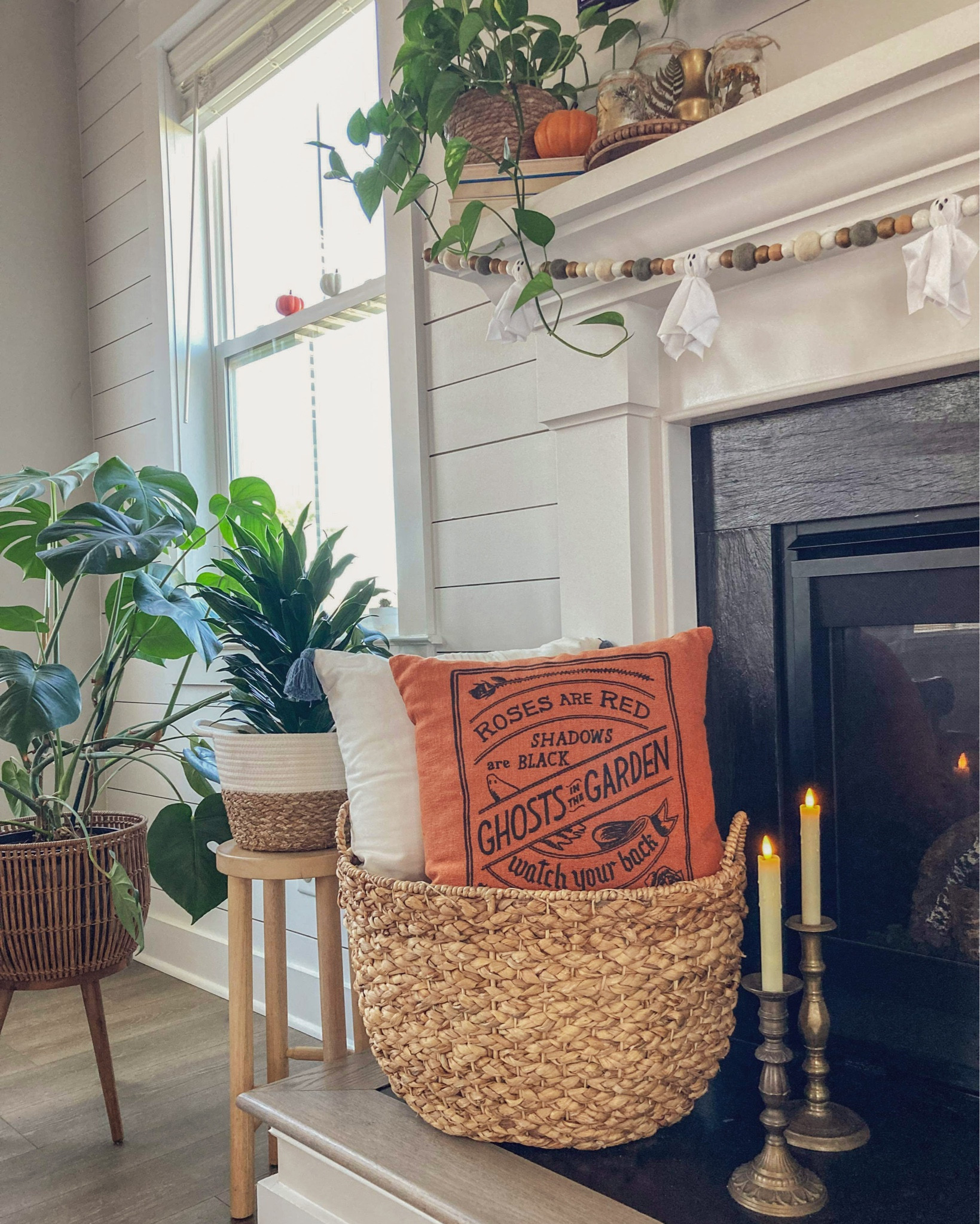A pillow bought with intention. I knew it could serve as Fall decor for the whole season so it made the purchase worth it. The color goes perfectly with Autumn, and the backside is solid, so I can style it with other year round pillows for the Fall decor.

Then when the time comes for Halloween decor, just simply turn it around. 

I do the same with Jack O Lanterns, bottles with Halloween writings on them etc. Just turn them around until you’re ready for them.

It’s a simple concept, but eliminates buying more than you need…and extends the length you will use the item by turning it into an item fit for the whole season. 

#LTKSeasonal #LTKhome #LTKHalloween