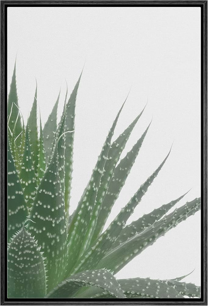 Zenobia Framed Canvas Print Wall Art Green Snake Plant Side View Nature Plants Photography Realis... | Amazon (US)