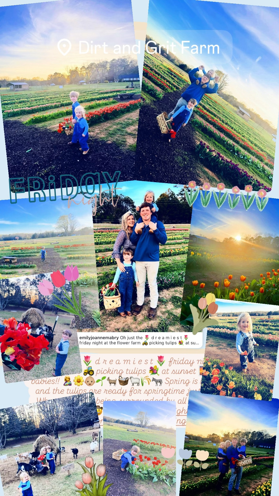 Oh just the 🌷 d r e a m i e s t 🌷 friday night at the flower farm 🚜 picking tulips 💐 at sunset 🌅 with our babies!! 🤱🌼👶🏼🌱🐐🧺🐑🌾🫏 Spring is in the air ☀️ and the tulips are ready for springtime just like us!! 🫶🏽 What a joy it is being surrounded by all my handsome country boys!!! 🤠🩵 #springfridaynights #tulippicking #tulipseason #flowerfarm #springisintheair
