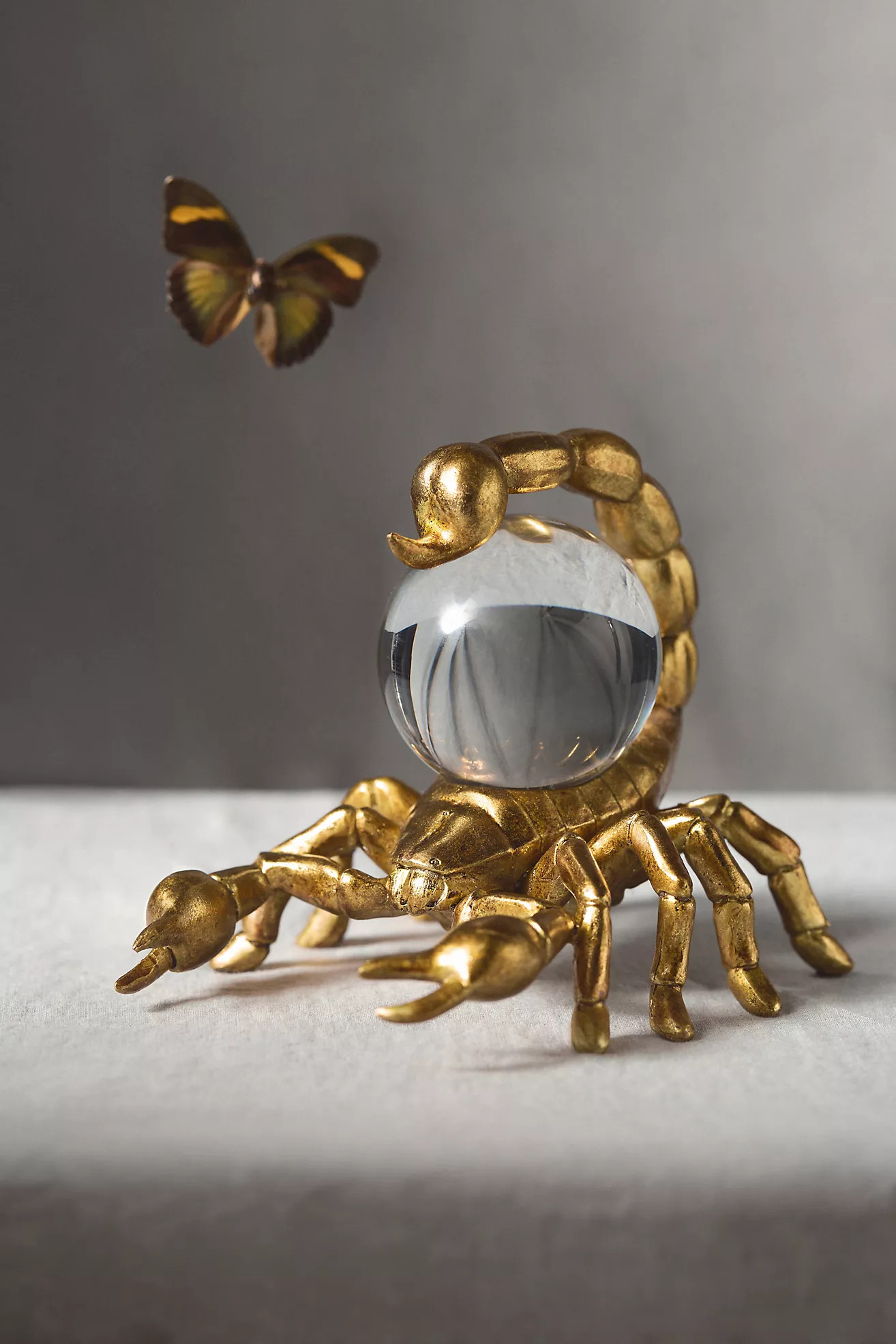 Scorpion Orb Decorative Object | Anthropologie (US)