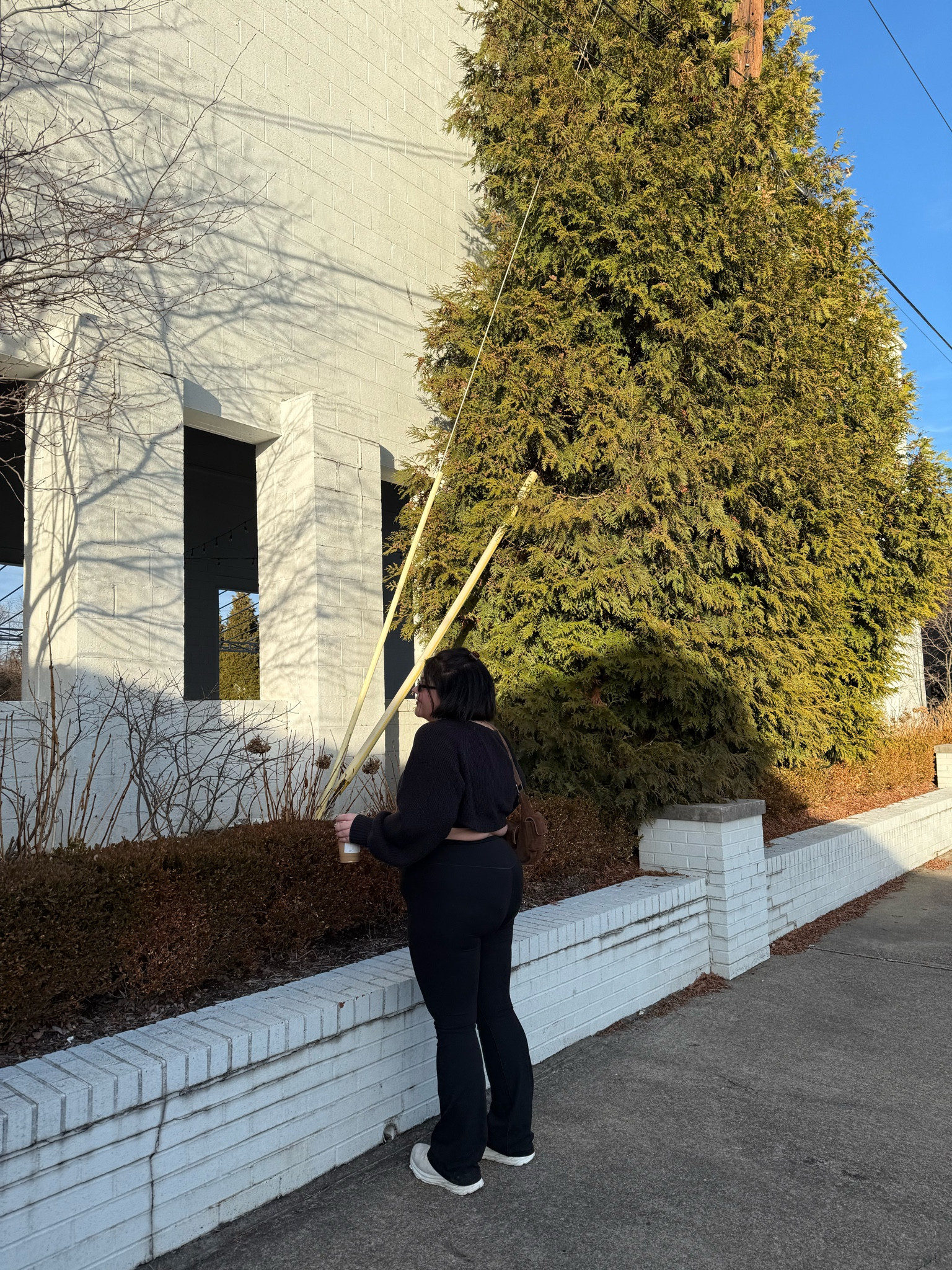 current aerie favs!



#LTKMidsize #LTKPlusSize #LTKSpringSale