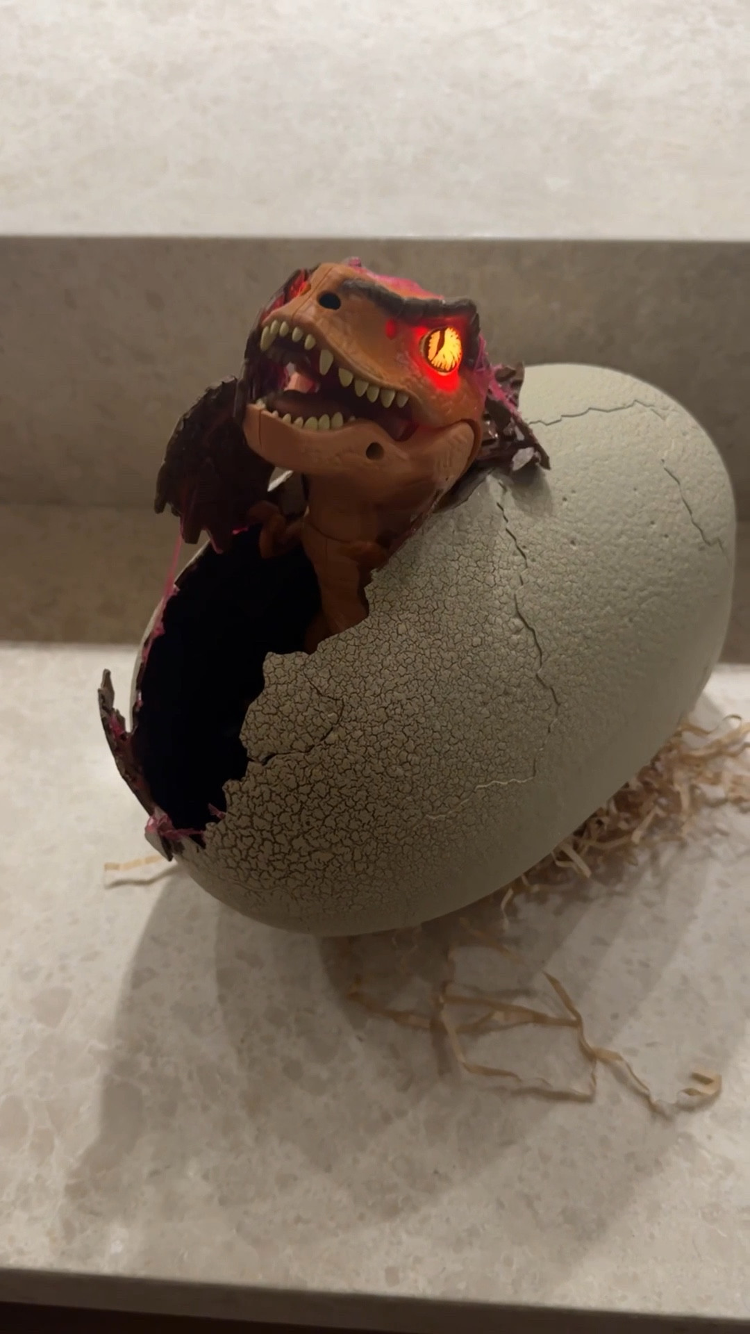 Hatching Dino #LTKFamily

#LTKKids