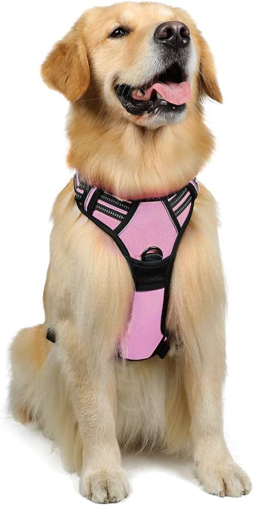 rabbitgoo Dog Harness, No-Pull Pet Harness with 2 Leash Clips, Adjustable Soft Padded Dog Vest, R... | Amazon (CA)