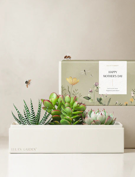 Mother's Day Jewel Garden | Lula's Garden