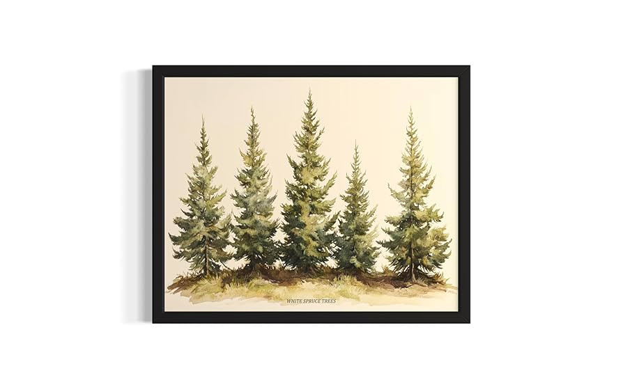 White Spruce Trees Wall Art Print Poster, Nature Vintage Paitnings Pine for Bedroom Bathroom Livi... | Amazon (US)
