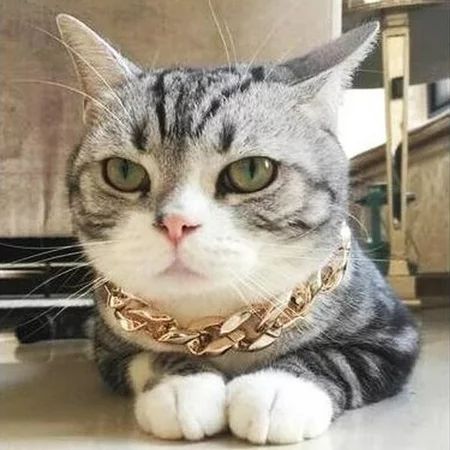 Cuban Link Thick Golden Chain Dog Cat Pets Safety Collar | Walmart (US)
