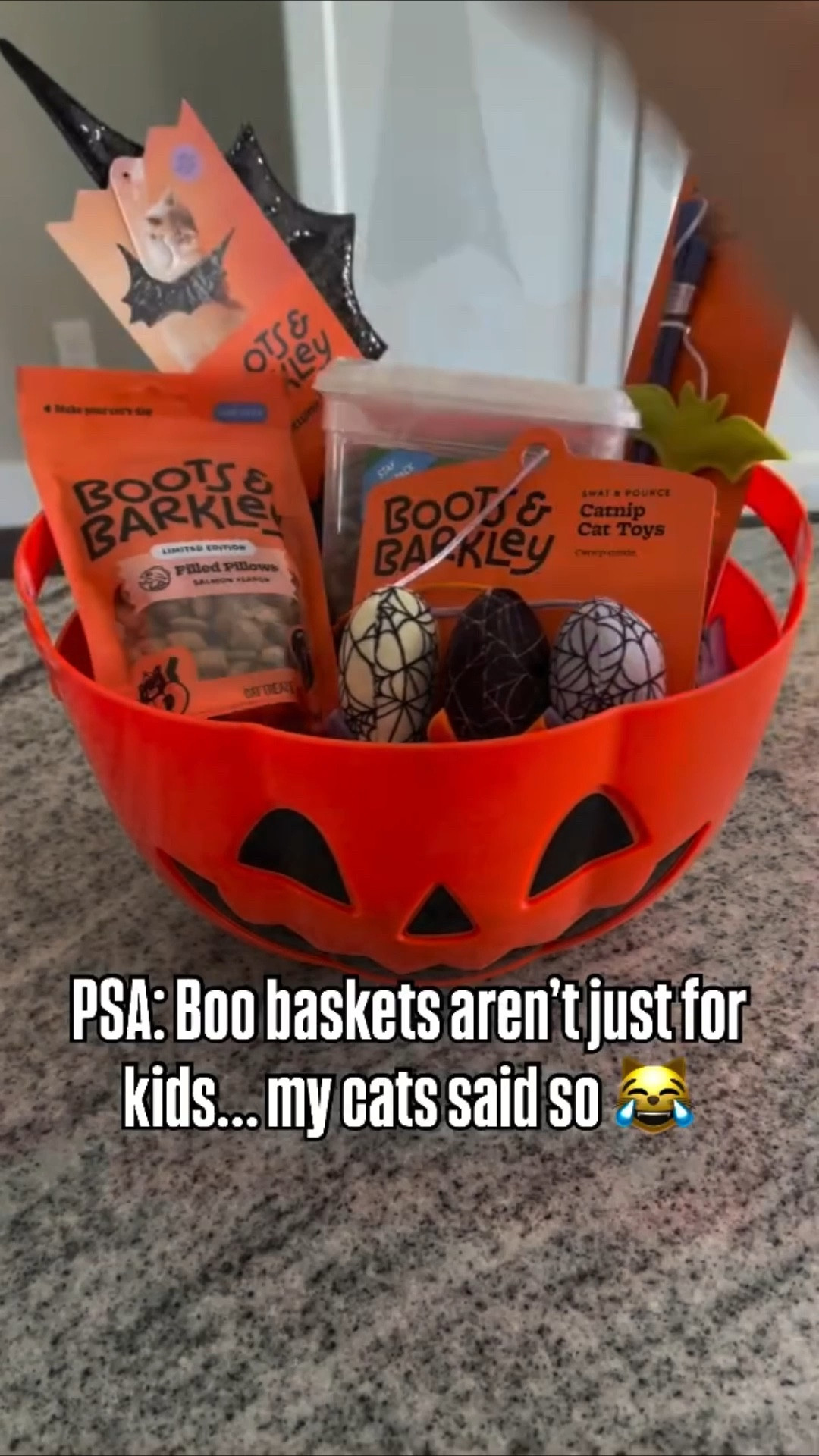 Call me that crazy cat mom, but my kitties are getting their own Halloween boo basket 🎃🐾Stuffed with treats, toys, and probably way too much love 😹 Now the real trick will be getting them into their costumes… think I can bribe them with this stash?! 👻 

#LTKPets #LTKSeasonal #LTKHalloween