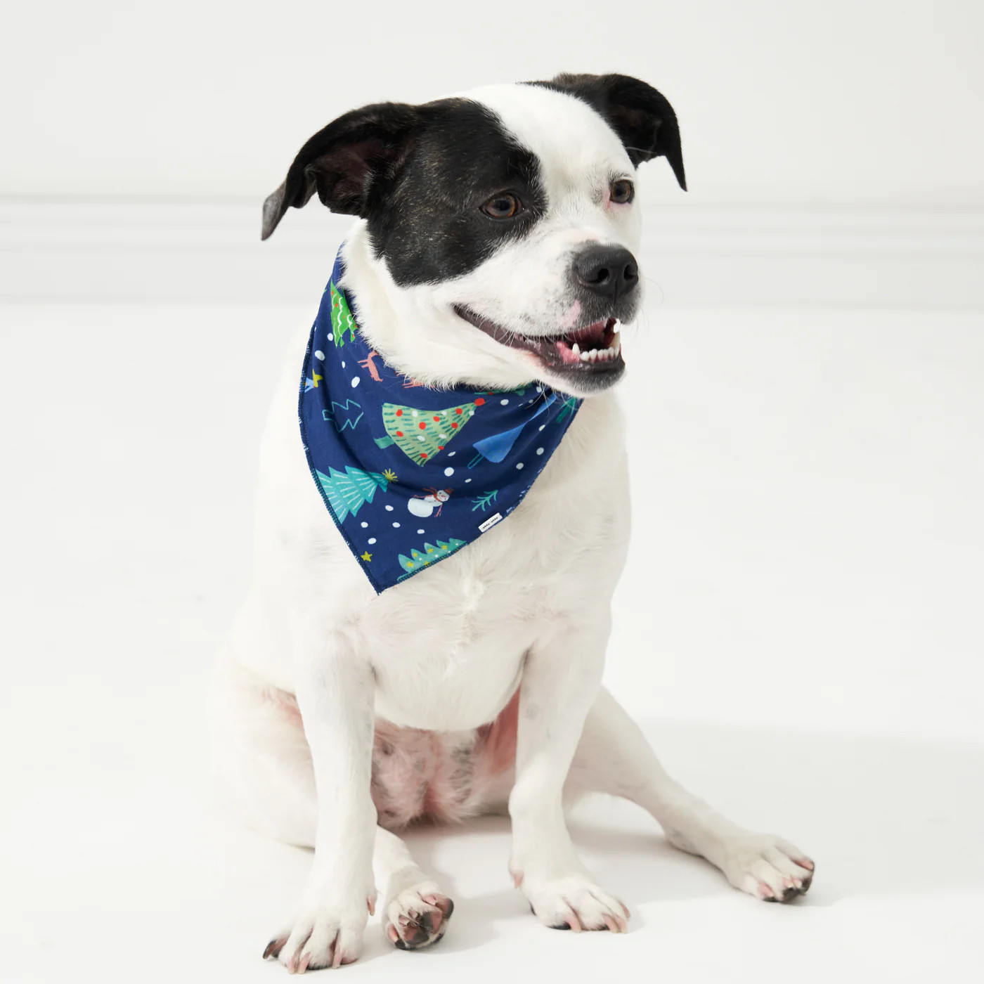 Pet Bandana | Little Sleepies