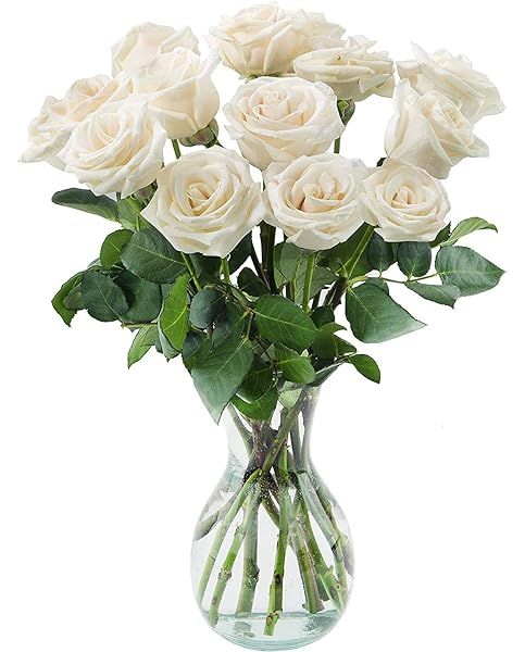 Delivery by Wednesday, May 5th Dozen White Roses by Arabella Bouquets | Amazon (US)