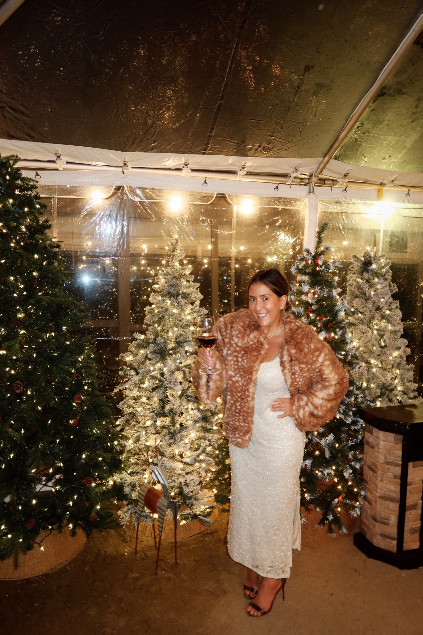 deer print faux fur
target sequin dress 

#LTKHoliday #LTKMidsize #LTKootd