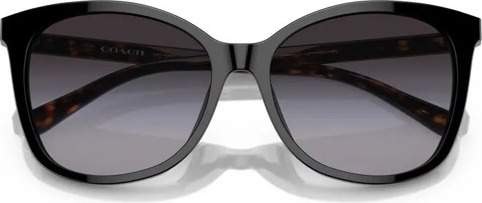 COACH 57mm Gradient Cat Eye Sunglasses | Nordstrom | Nordstrom