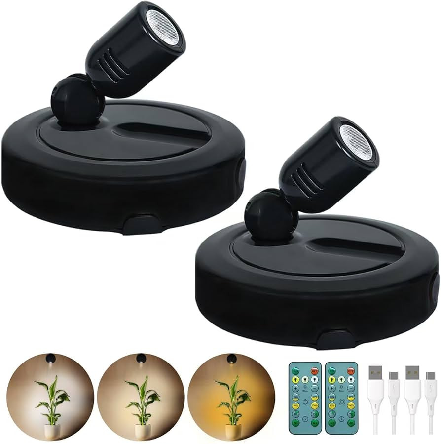 Rechargeable Spotlight Indoor, Battery Operated Picture Light with Remote, 3 Color Temperatures L... | Amazon (US)