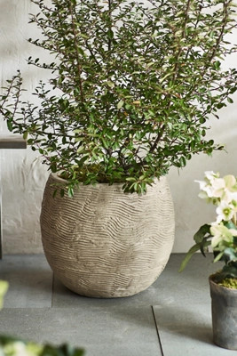 Wavy Concrete Orb Planter | Anthropologie (US)