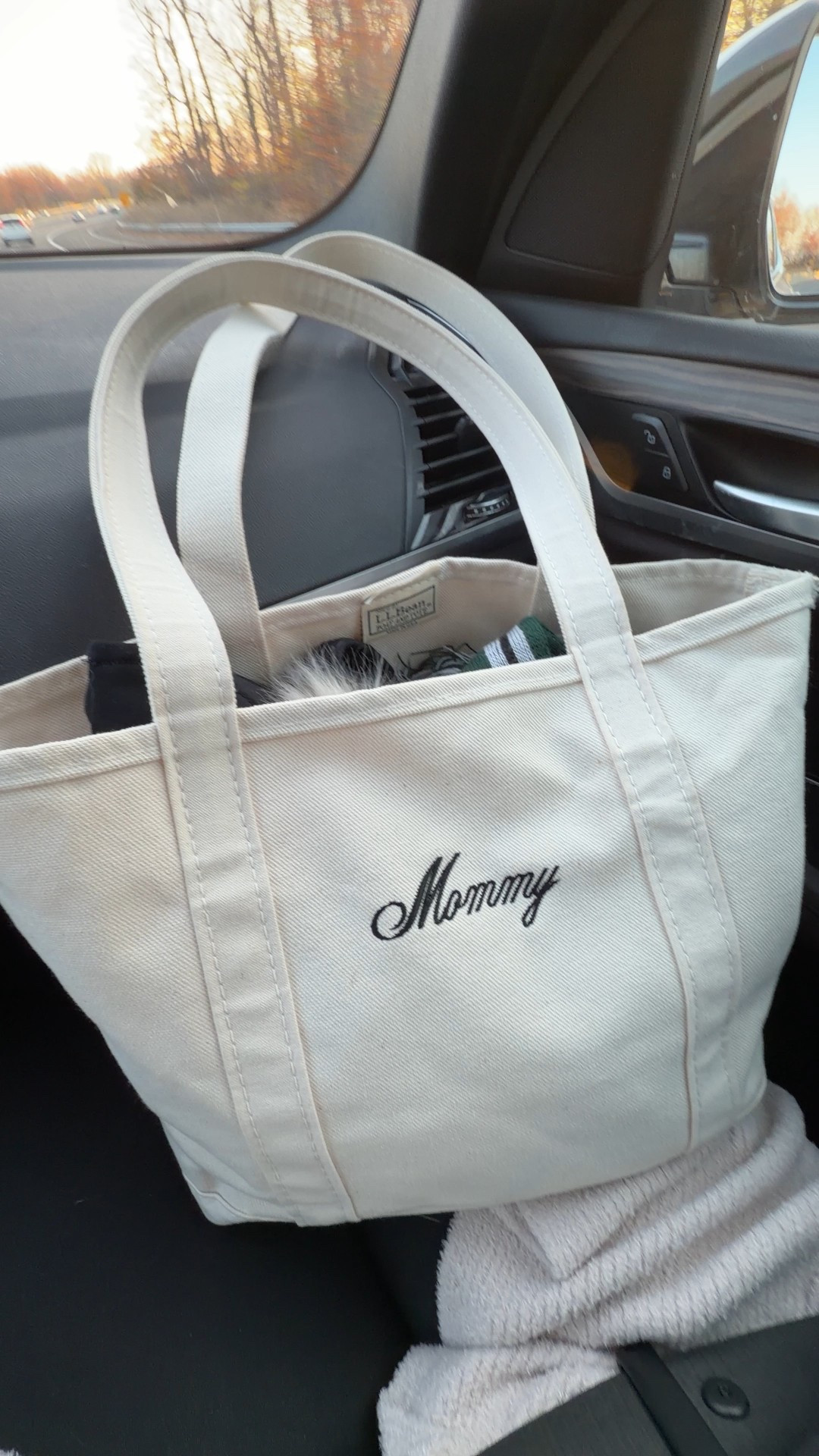 Great gift for the a busy mom of young kids!! Boat
And tote has a cult following for a reason 

#LTKmomlife #LTKHoliday #LTKGiftGuide