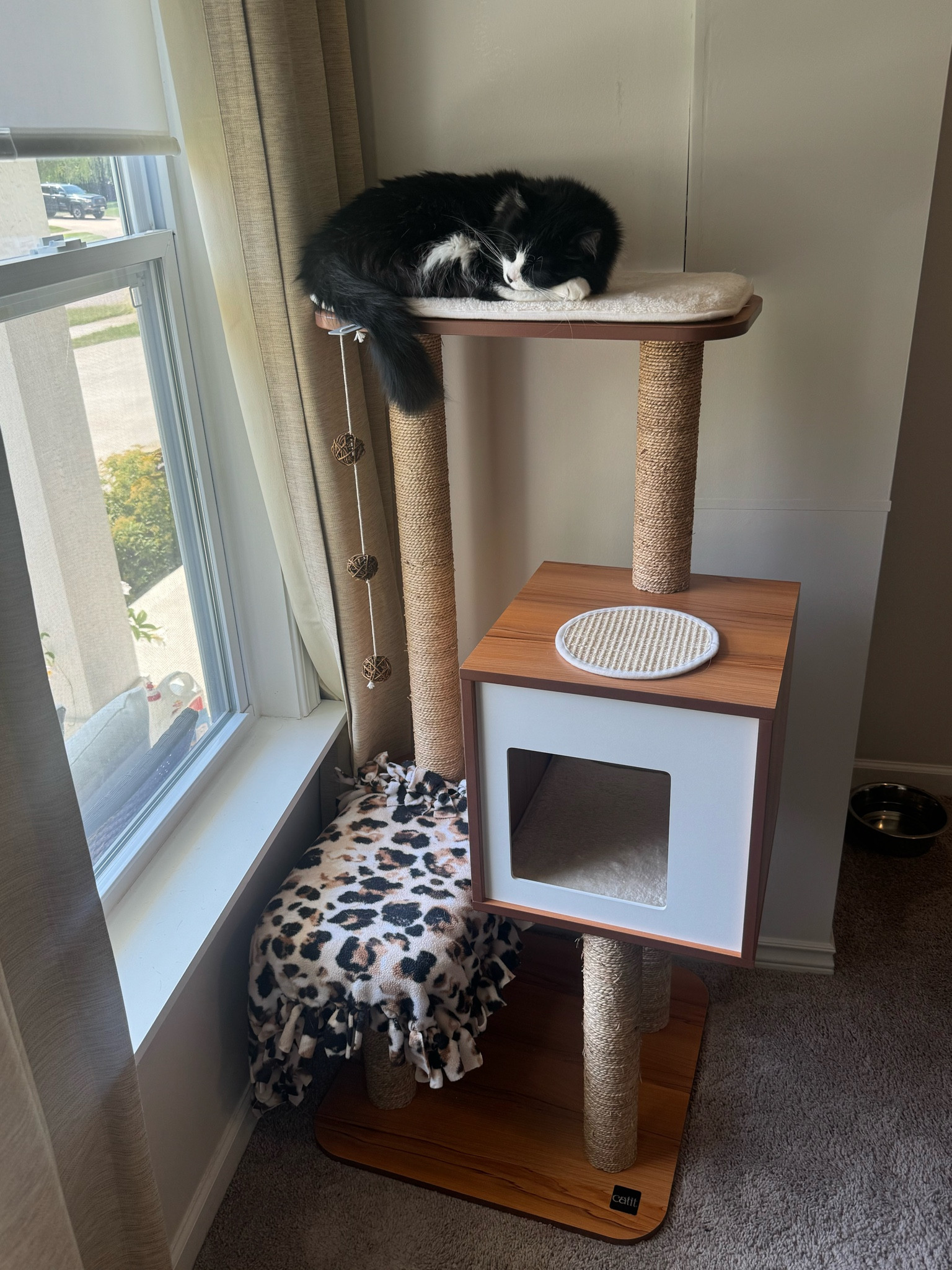 The most aesthetically pleasing cat tower I’ve ever seen 🐱

My cat absolutely loves this cat tower and it fits perfectly with the vibe of my home office 

#cattower #crazycatlady #cat


#LTKFamily