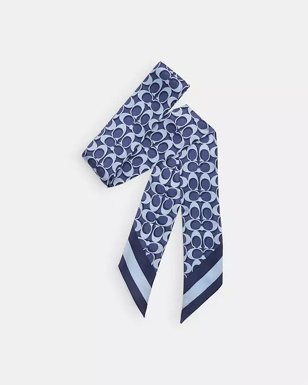 Signature Print Silk Skinny Scarf | Coach Outlet US