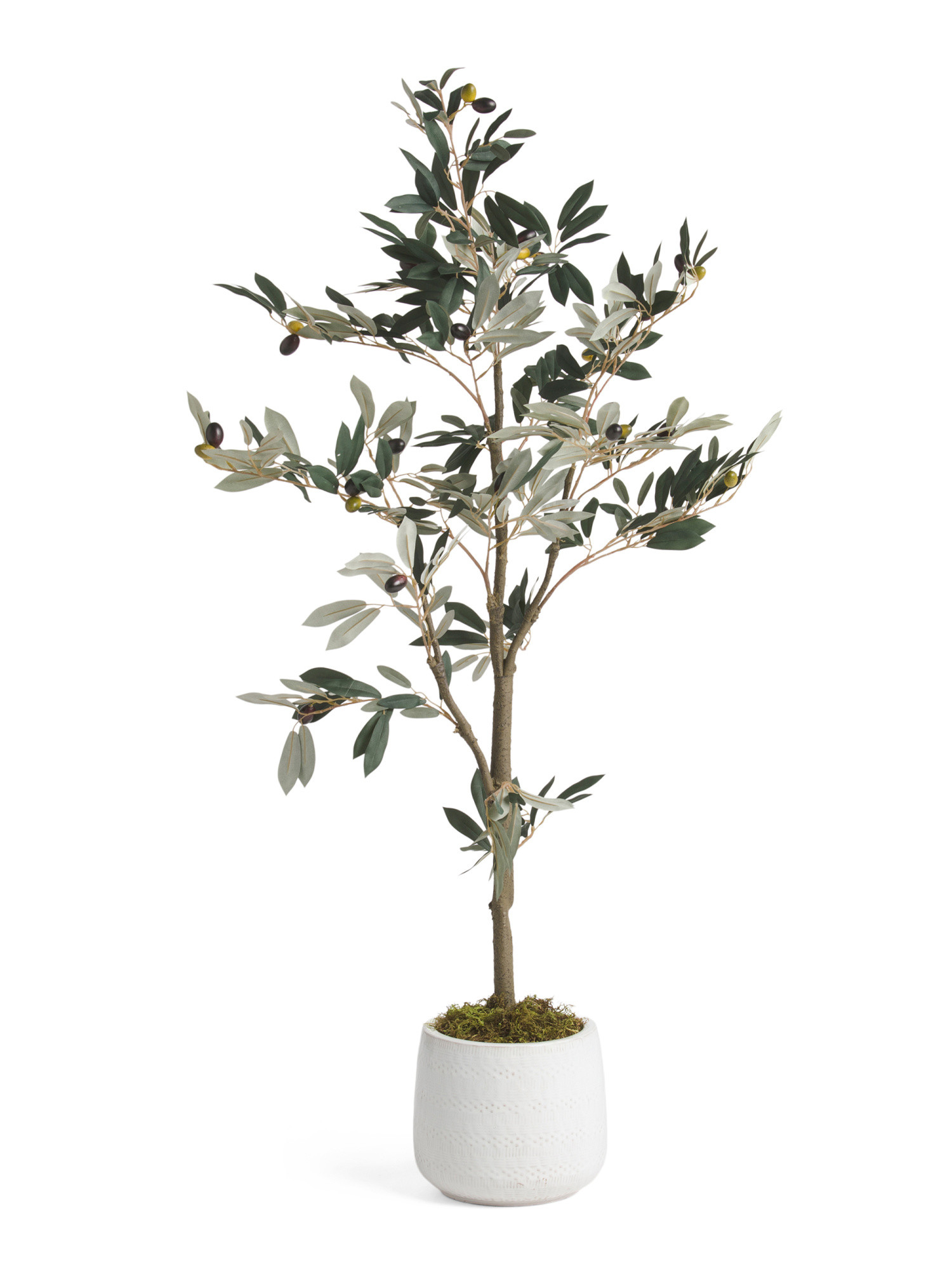 4ft Olive In Round Pot | Marshalls