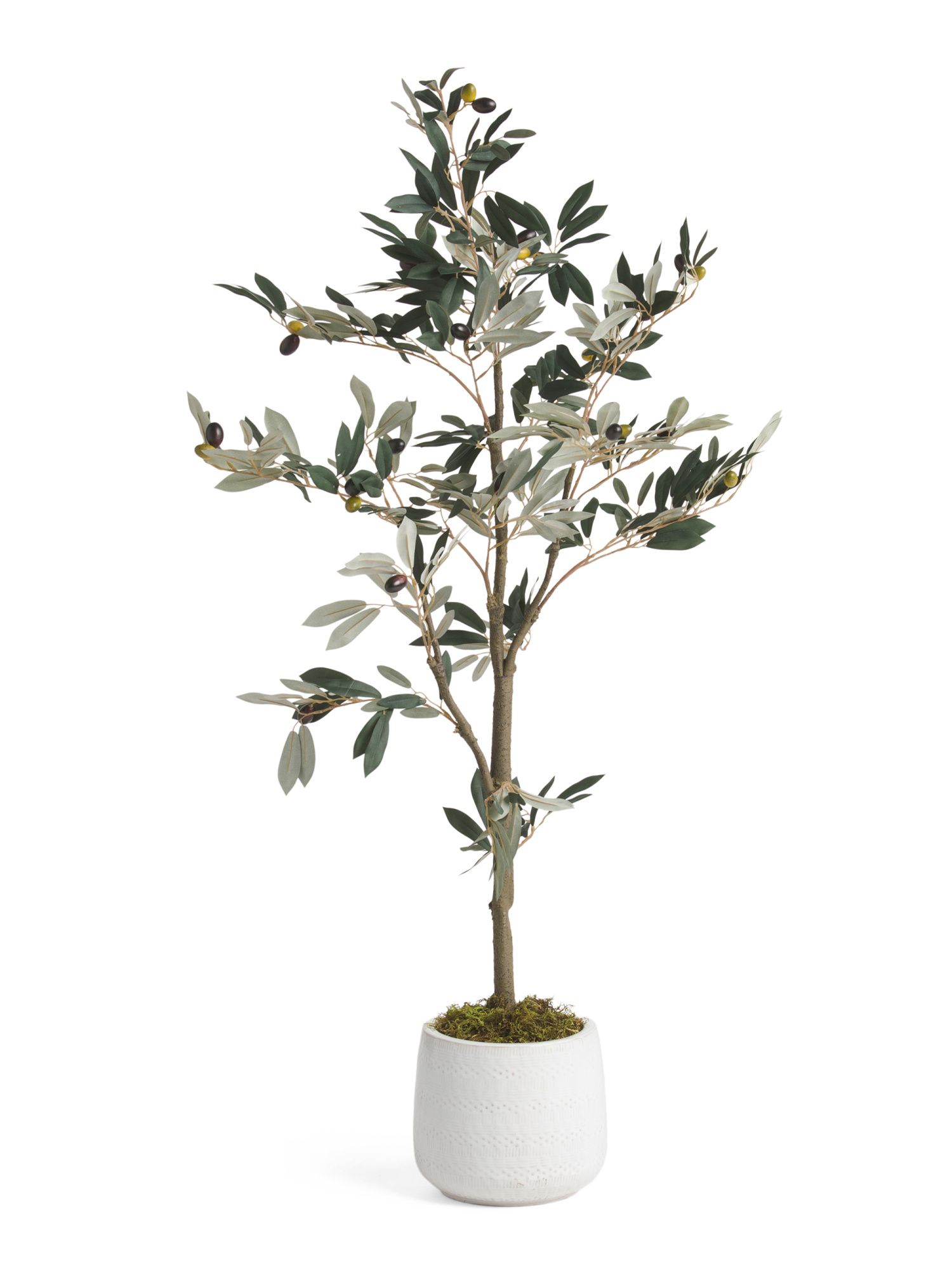 4ft Olive In Round Pot | Plants & Planters | Marshalls | Marshalls