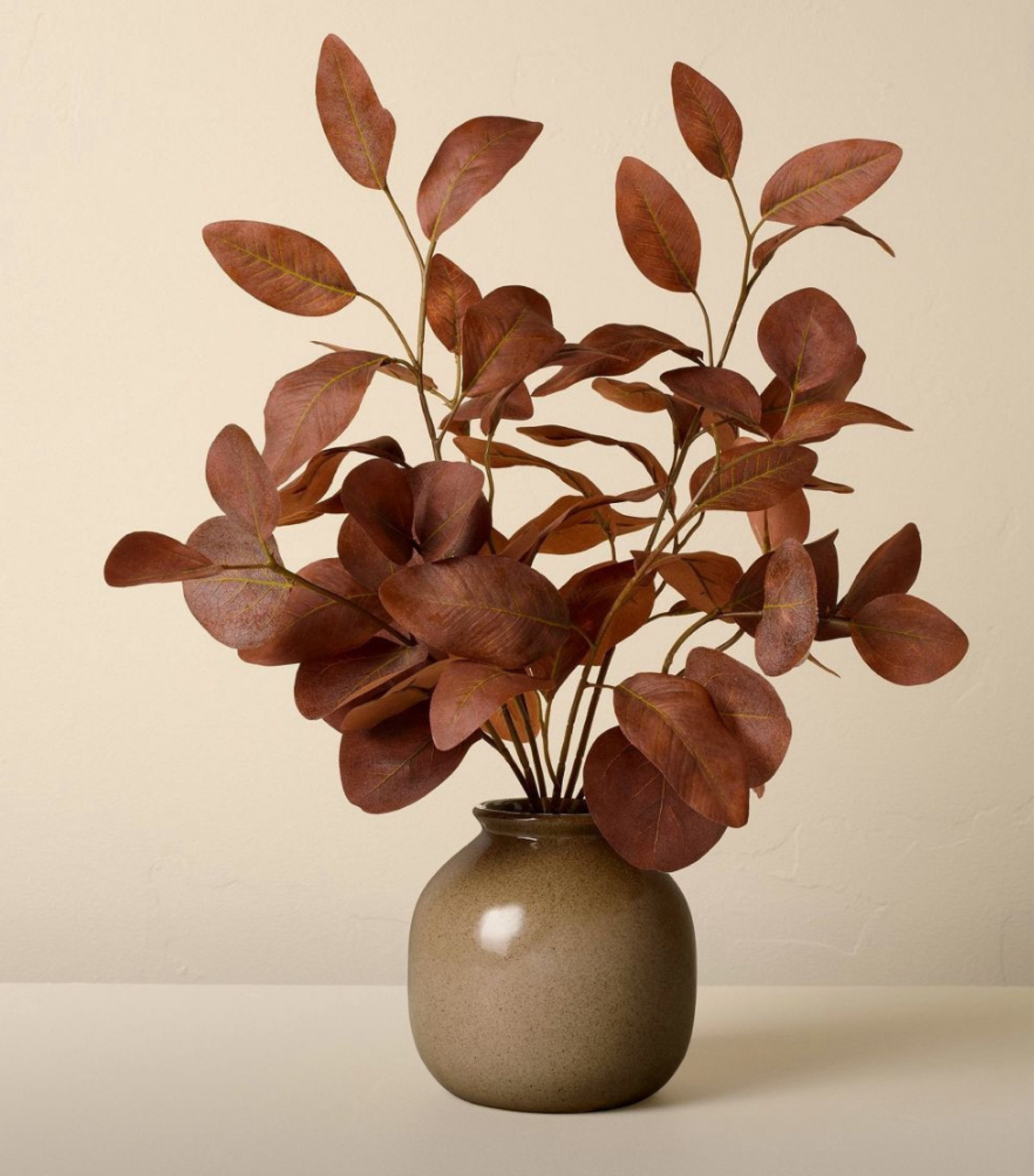 Fall decor potted eucalyptus plant
