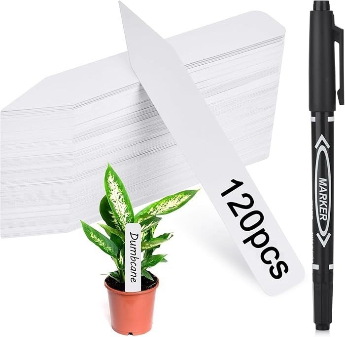 Keep your garden organized from seed to harvest 🌱 These durable plant labels make it easy to track everything you’re growing, with plenty of space to write names, dates, or varieties. Made from waterproof, sun-resistant PVC, they hold up through rain, heat, and long growing seasons without fading. With 120 tags plus a marker included, they’re perfect for seed starting trays, raised beds, and outdoor gardens—because guessing what you planted is never part of the plan.

#LTKgarden #GardenOrganization #SeedStarting #PlantLabels #GardenTools #HomeGarden #GrowWithMe #PlantTracking

#LTKdayinmylife #LTKHome #LTKSeasonal
