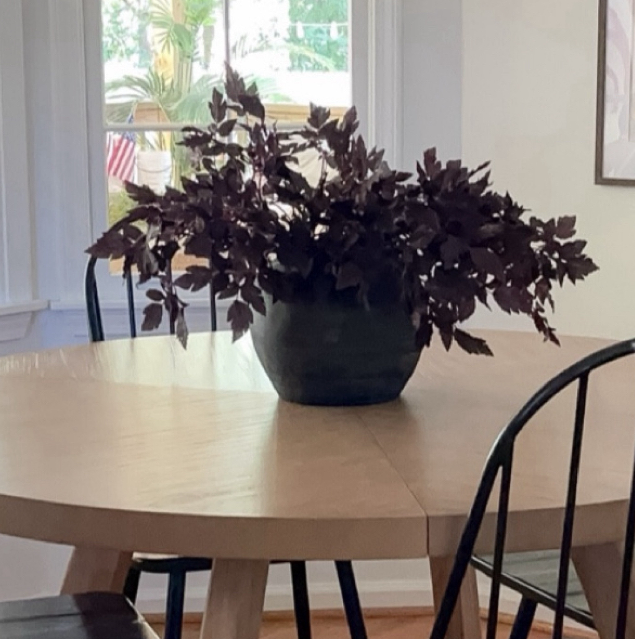 My plum leaf stems and vase and some similar options.

I have six of the 18” stems in this vase.

The stems also come in 36” and a 6 or 9 foot garland 

#LTKSeasonal #LTKStyleTip #LTKHome