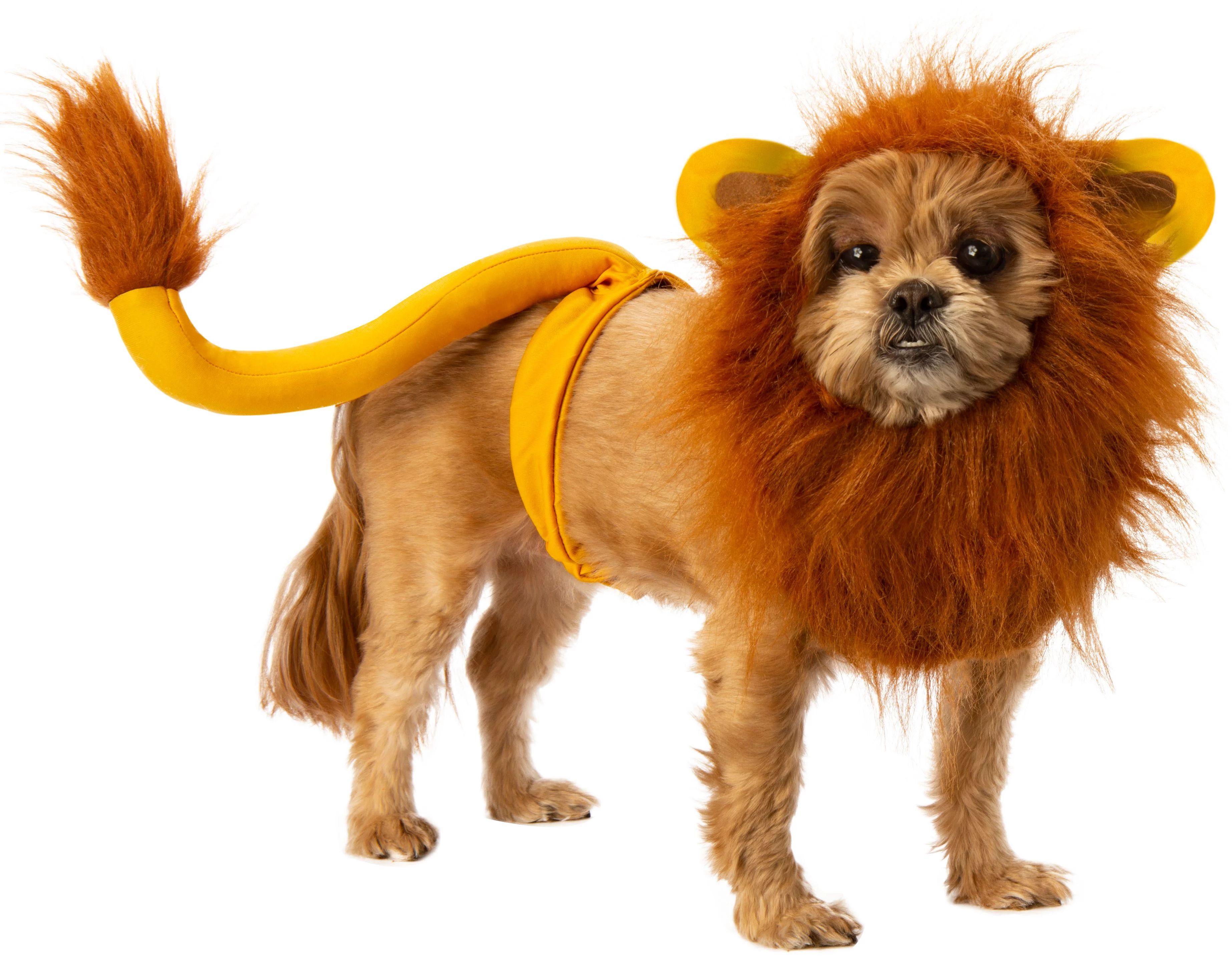 Rubies Lion King Pet Halloween Costume | Walmart (US)