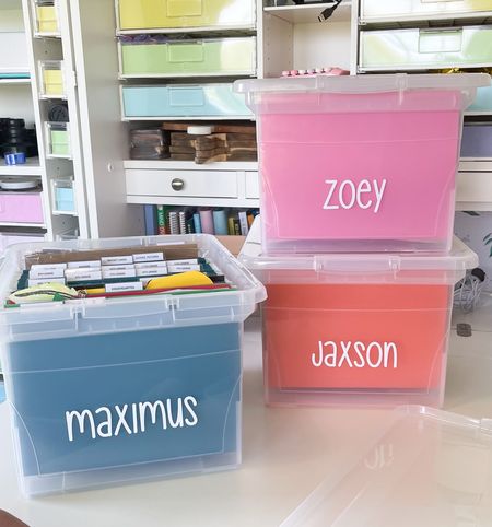 School memory boxes for our kids - so glad I got these to help organize all of those school papers, awards, certificates, school pictures, etc. that the kids being home in their backpacks ✨💕 use code SLAYATHOMEMOTHER to save 10% on your $50+ order 🙌

Ltk kids, paper clutter, organization, home organization, organizing

#LTKfit #LTKunder100 #LTKfamily