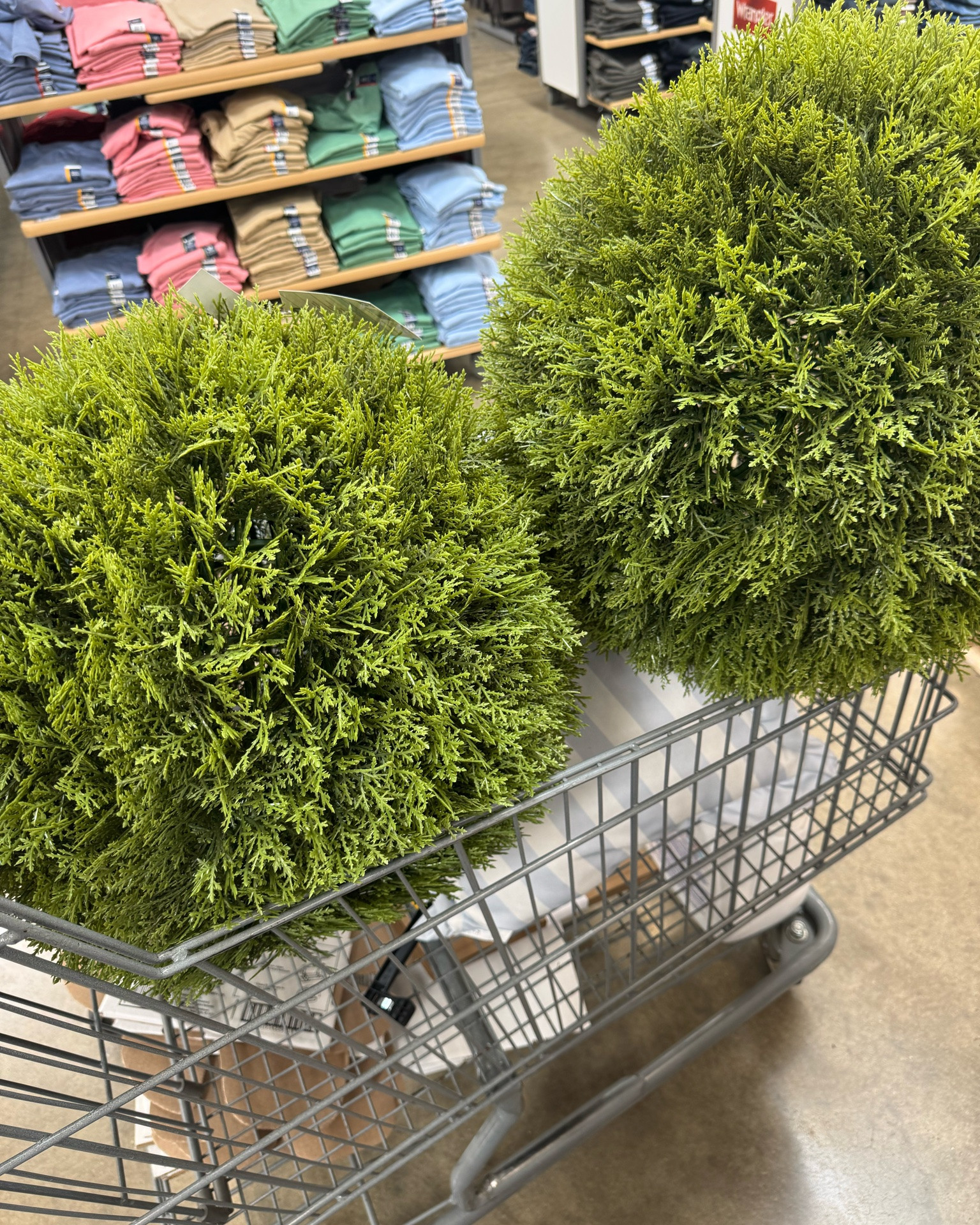 Four strangers stopped me in Walmart asking about these — so here you go 😂 Grabbed these faux cypress balls for the front porch and they make such a statement.

#LTKdayinmylife #LTKHome #LTKSeasonal