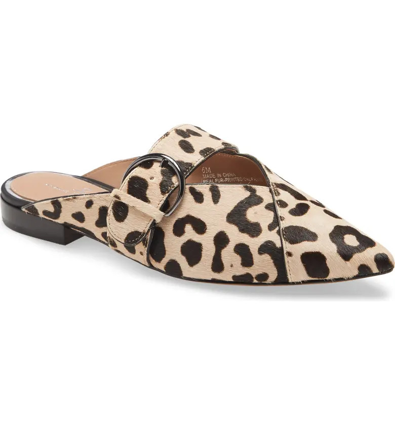 Athea Genuine Calf Hair Pointed Toe Mule | Nordstrom