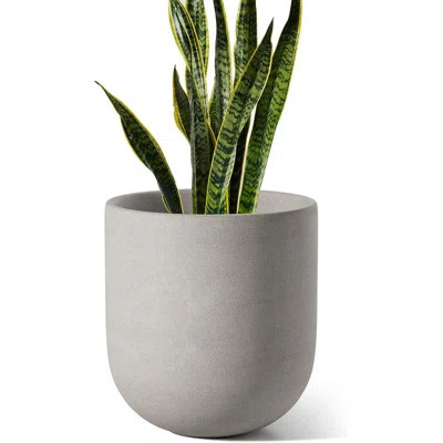 10 Inch Cylinder Ceramic Plant Pot - Neutral Gray Indoor/Outdoor Planter with Drainage Hole & Rubber Plug for Home, Garden, Patio, Office | Wayfair North America