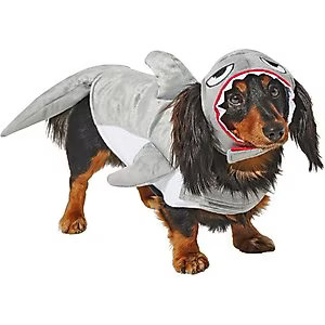 Royal Animals Shark Dog Costume | Chewy.com