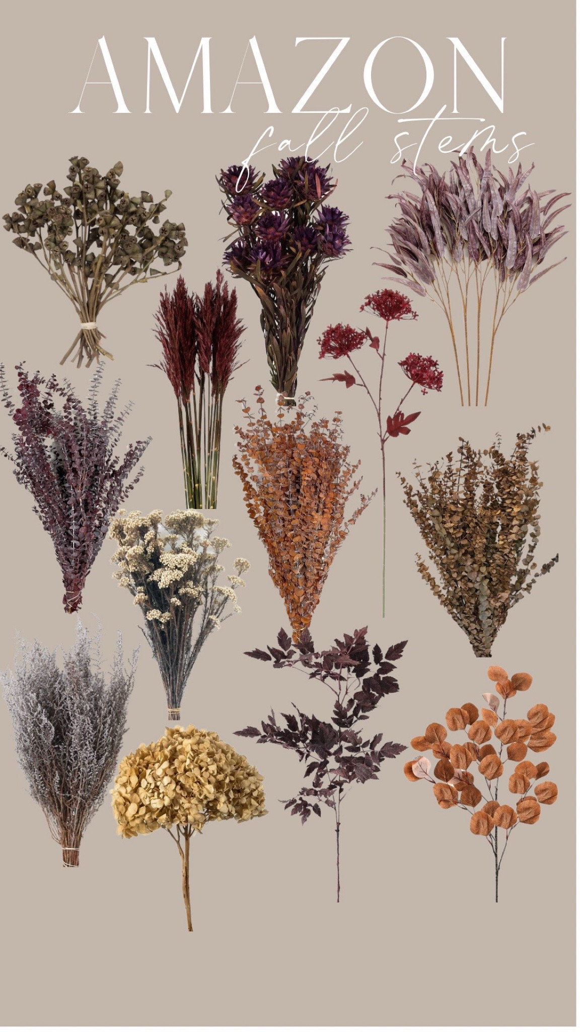 Stems
Fall stems

#LTKunder100 #LTKhome #LTKSeasonal