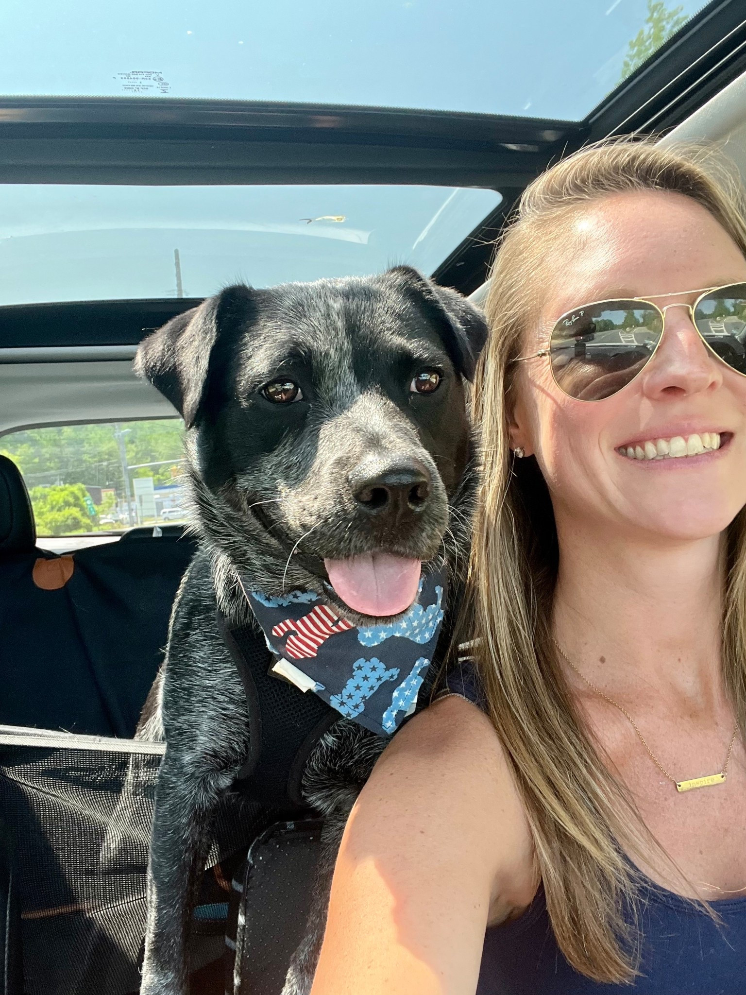 Hi! I’m Josie! Bandana connoisseur, adventure analyst, nap enthusiast. Mom and I love sharing our daily walk looks. Follow along with us!

#LTKPets #LTKActive #LTKTravel