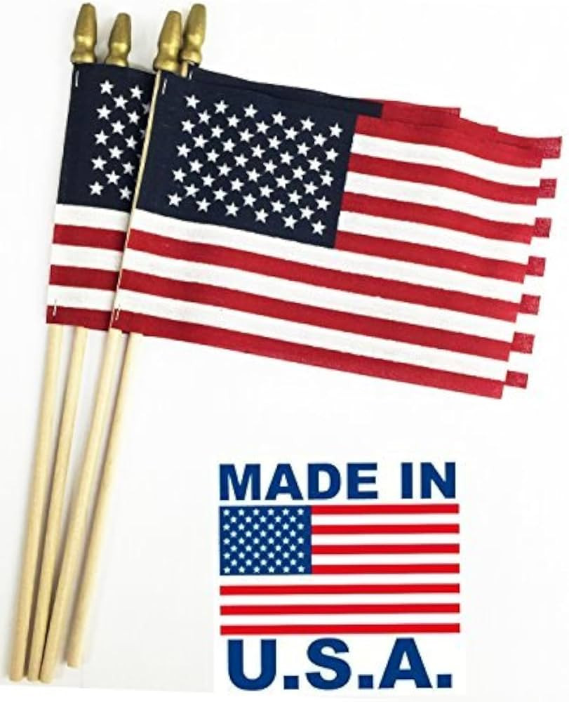 GIFTEXPRESS 12-Pack, Proudly MADE IN U.S.A. 8x12 Inch Spearhead Handheld American Stick Flags/Gra... | Amazon (US)
