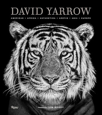 David Yarrow Photography: Americas Africa Antarctica Arctic Asia Europe | Amazon (US)
