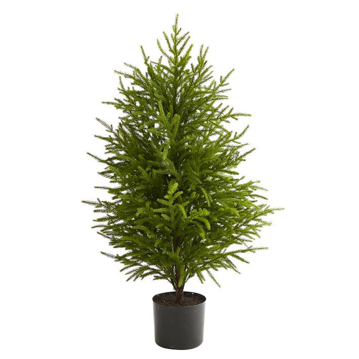 Faux Potted Norfolk Island Pine Tree | West Elm (US)