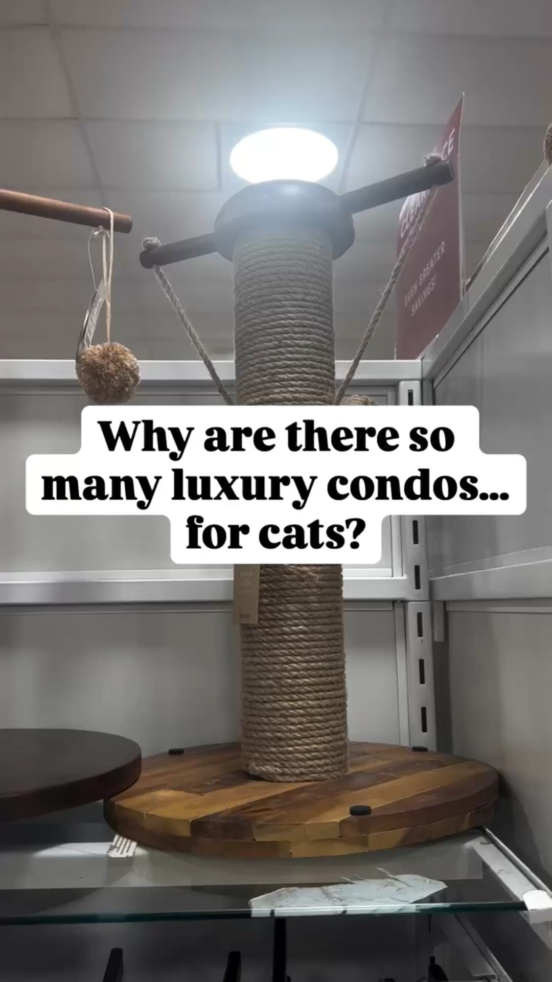 I walked into a store today and found an entire section of cat trees, condos, and scratchers!

Immediately sent this to my best friend because she’s a cat lady. 🐱

Some of these are basically luxury apartments.

And yes…this was HomeGoods.

Cat parents - how many of these does your cat actually have?

Share this with someone whose cat runs the house.

Follow me for daily finds + real life in between.

cat trees and condos | cat scratchers for cats | cat tower furniture | indoor cat climbing tree | homegoods pet finds

#HomeGoodsFinds
#CatParents
#CatLife
#PetFinds
#CatFurniture